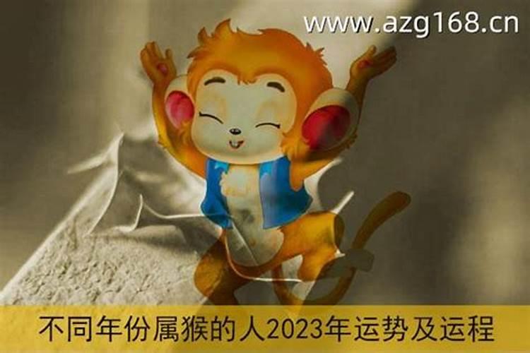 属羊猴年2023年运势