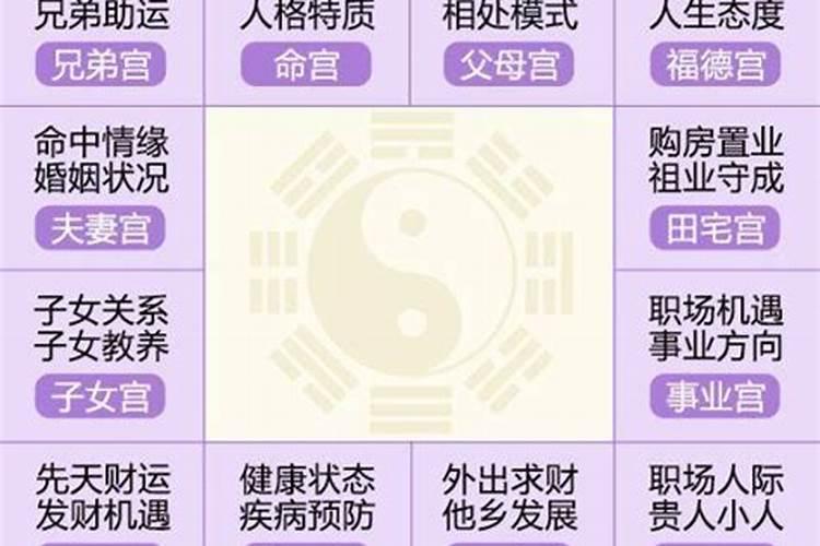 八字紫微斗数算命