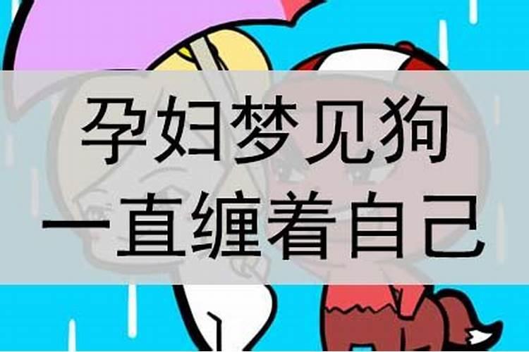 孕妇梦见狗一直缠着自己