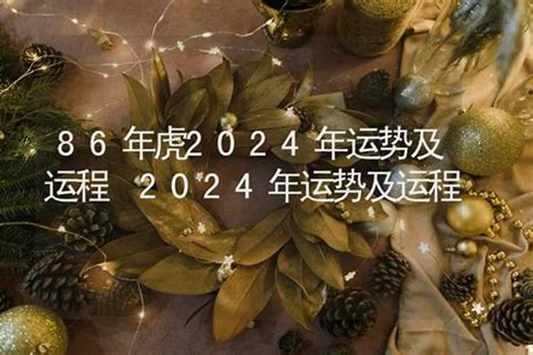 太岁锦囊的使用方法2024