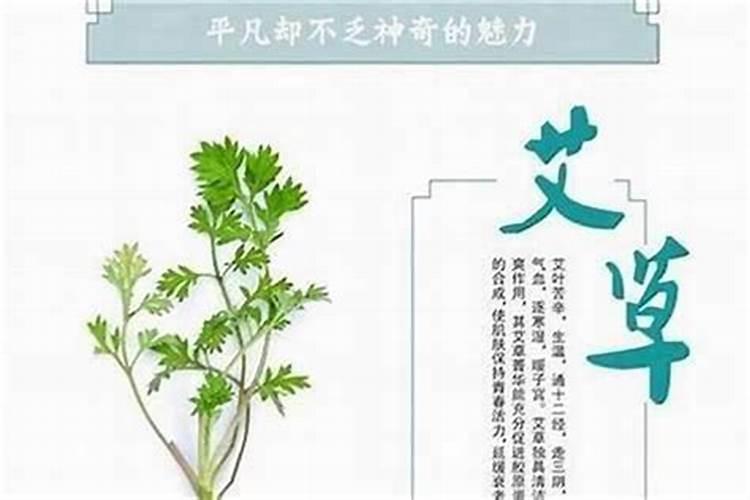 犯太岁家里放什么好风水