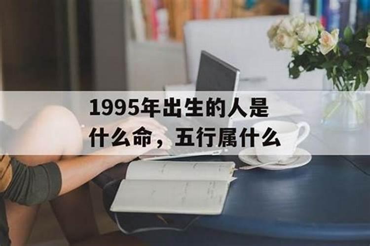 1995五行属什么命格