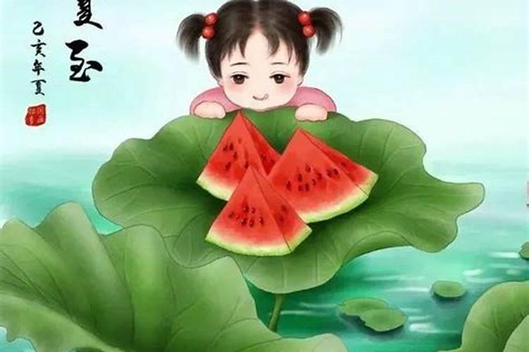 幼儿园夏至的来历和习俗