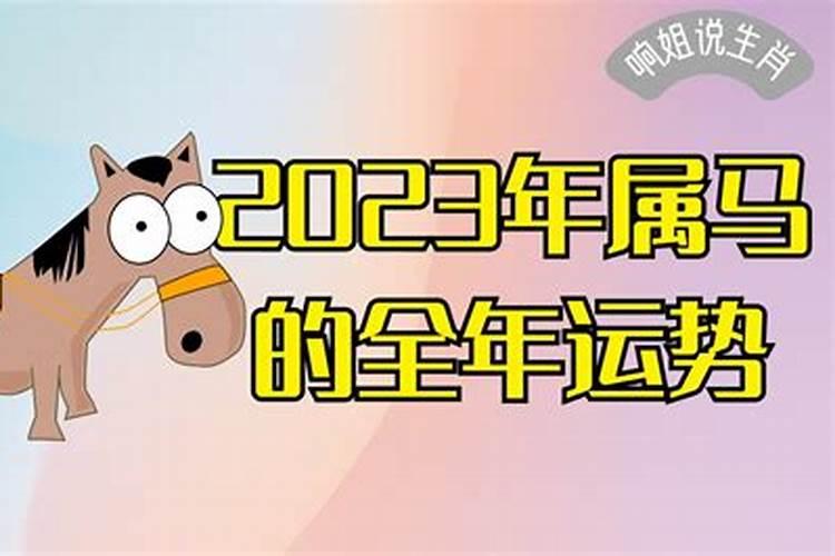 2023年属马全年运势如何