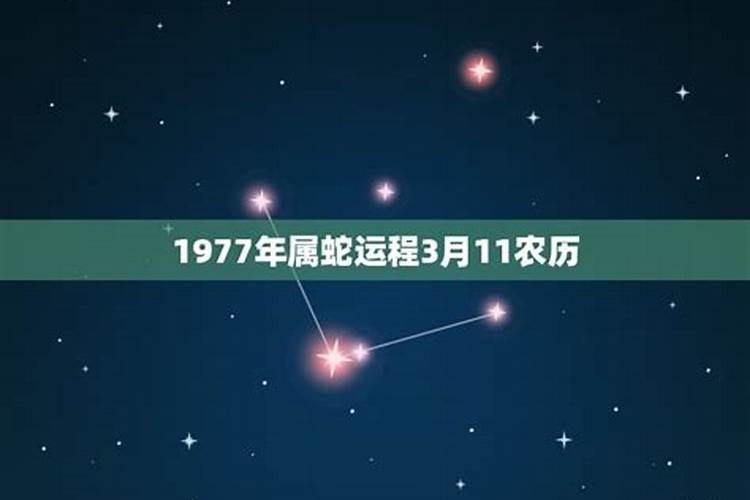 1977年属蛇3月份运程如何