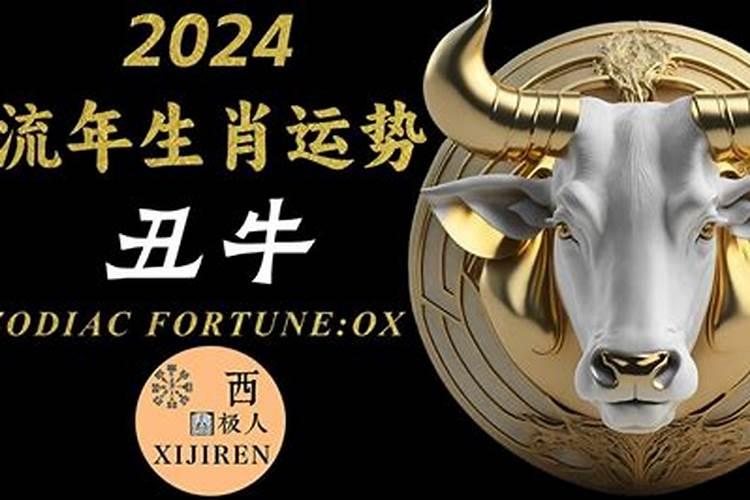 属猴2020年冬月运势