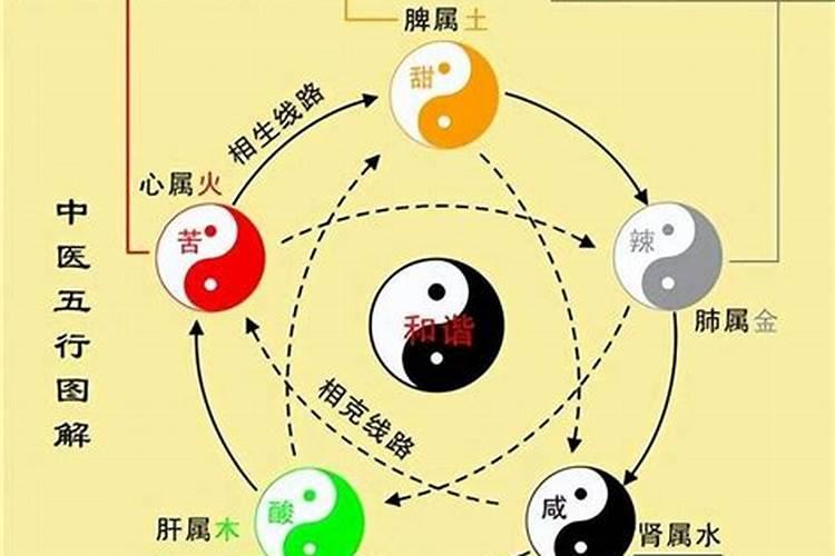 五行运转的意思解释大全