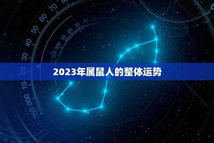 84年属鼠12月份运势如何2020年