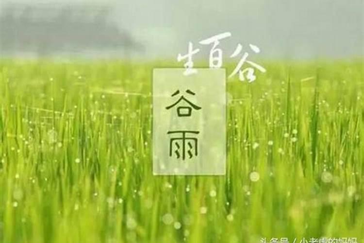 谷雨前出生立春吗