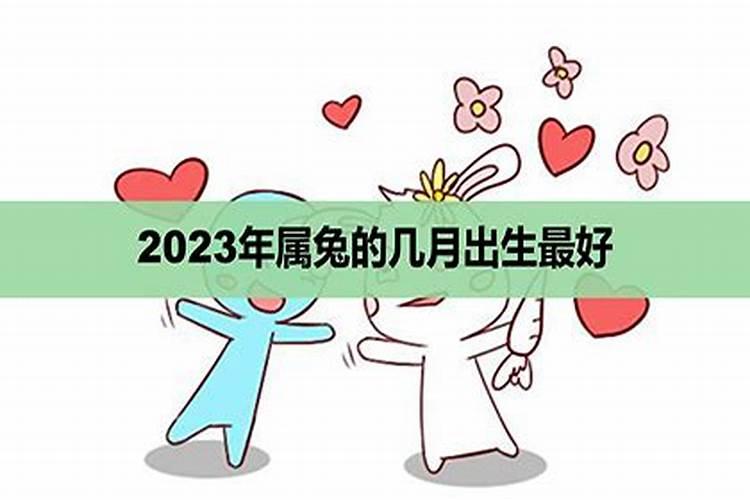 2023属兔的几月出生最好的