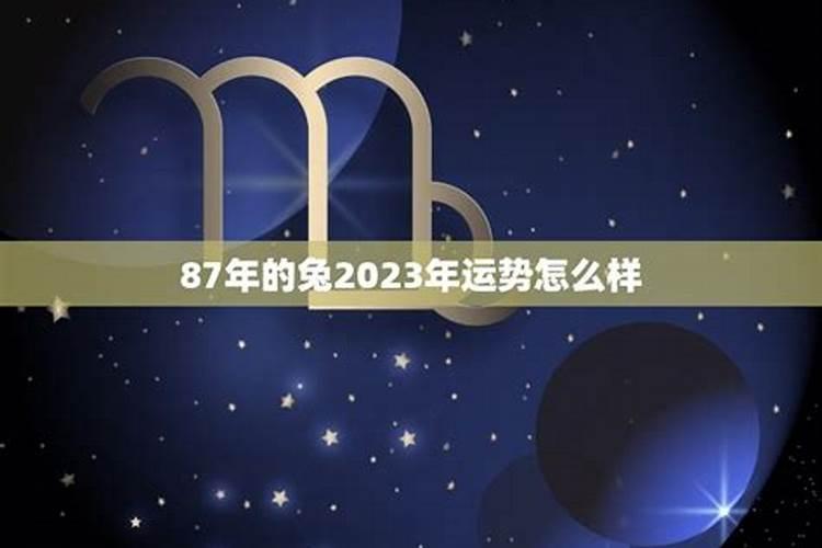 87年的兔在2021年的运势