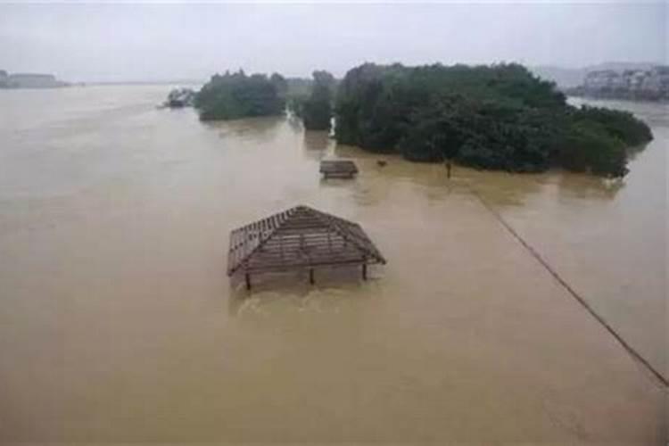 梦见大水把农田淹了