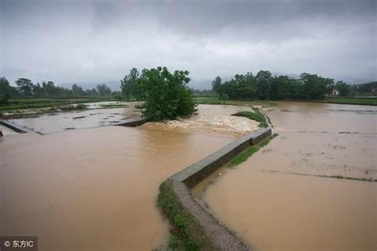 梦见田地发大水了是什么征兆