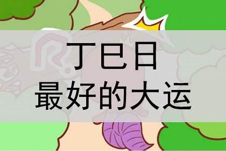 丁巳大运是什么运势