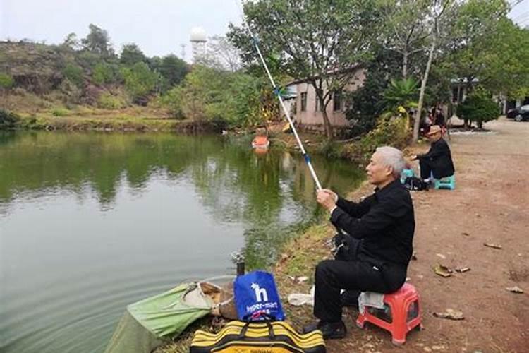 重阳节钓鱼钓哪些鱼