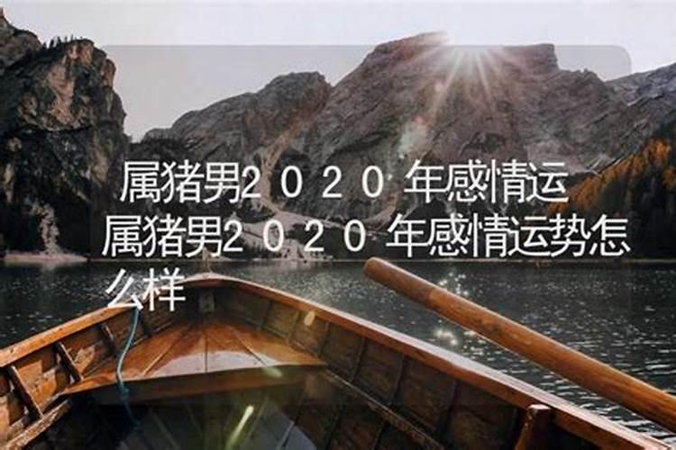 七一年猪男每月运势2020