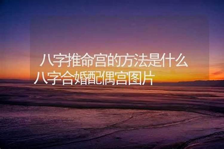 测算八字财运命合婚