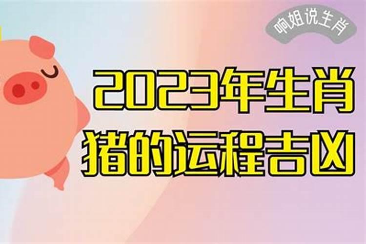 属蛇2023属猪运势运程如何看