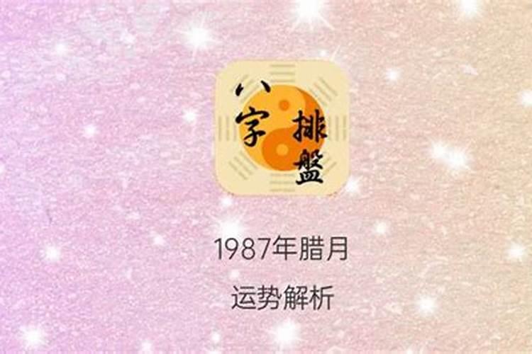 87年农历腊月的兔是什么命