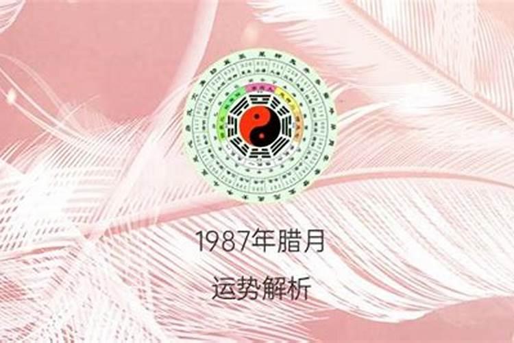 1987年农历腊月什么命