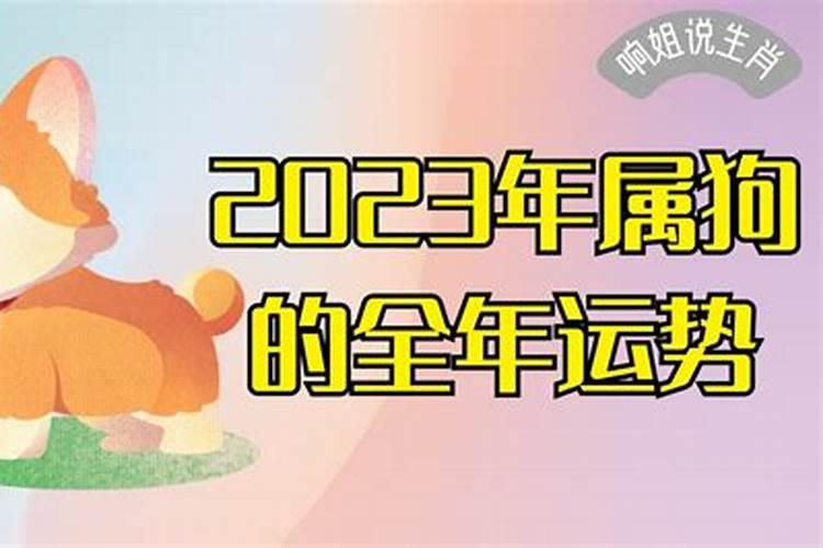 2023属狗的全年运势如何