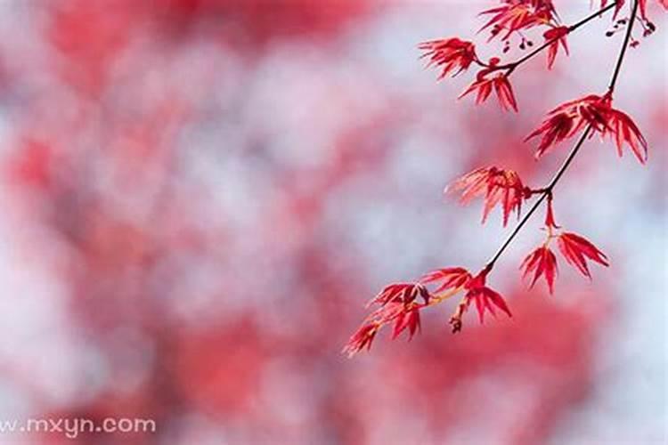 鬼节孕妇烧纸