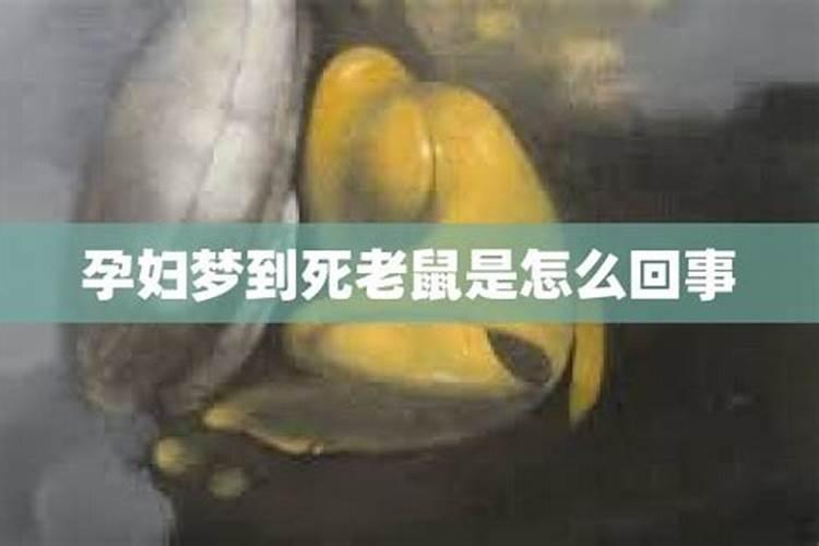 孕妇做梦梦到老鼠是什么意思啊周公解梦