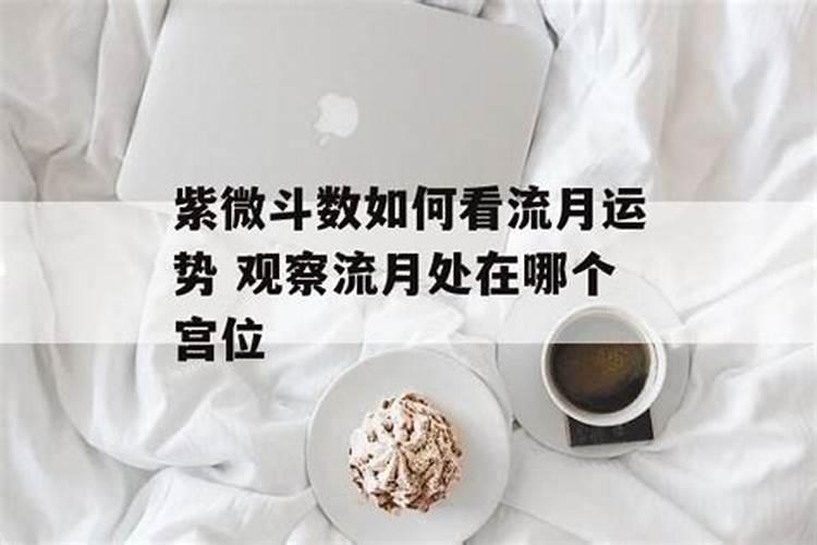 流月运势什么意思