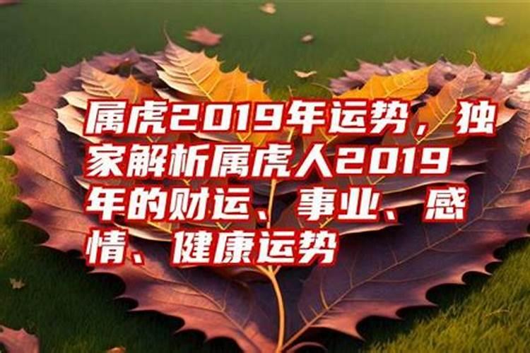 2019年属虎的运程