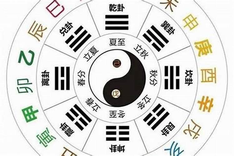 合婚主要看天干还是地支