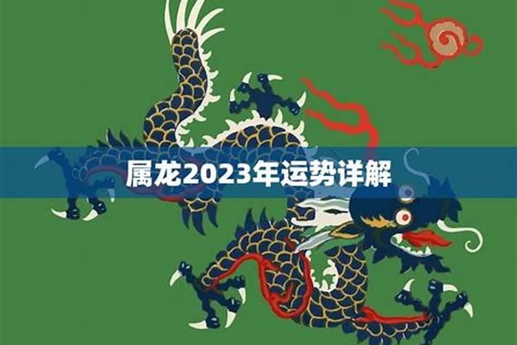 属狗和属龙2023年的运势