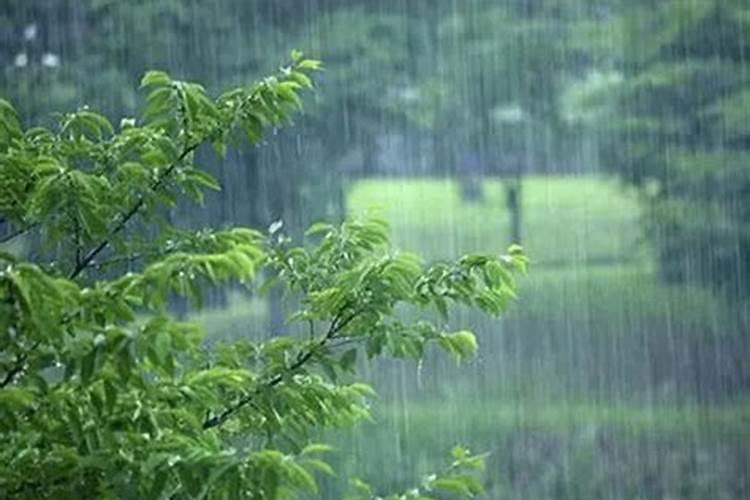 怀孕梦见下雨发大水