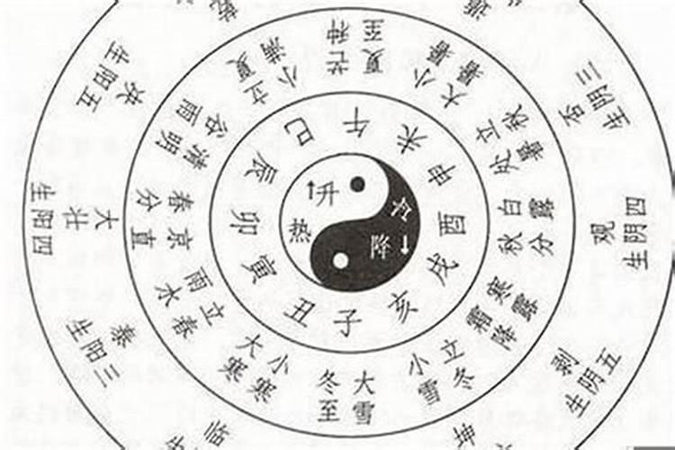 八字算命看日柱还是年柱