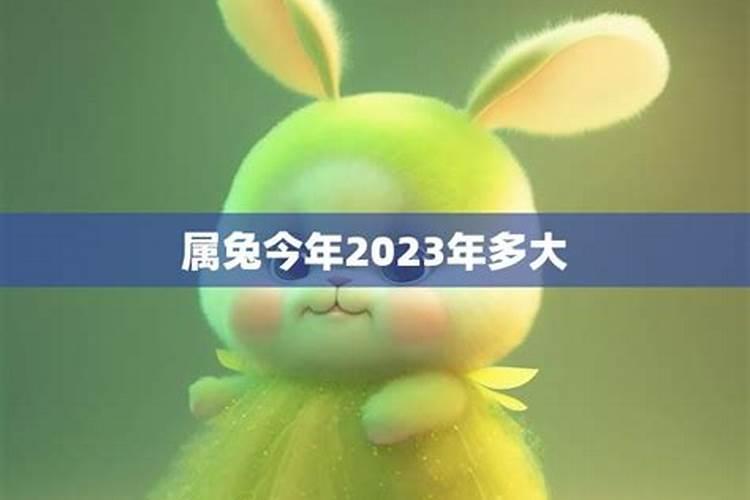 属兔2023年多大岁数了呀