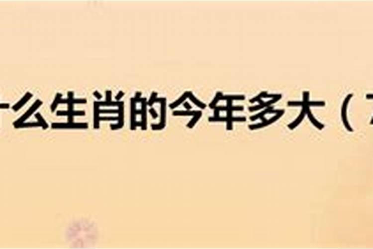 77年属什么今年多大年龄