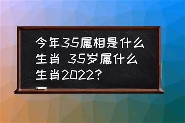 35岁的是属什么的