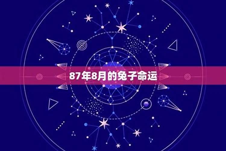 87兔[year]年农历八月运势如何