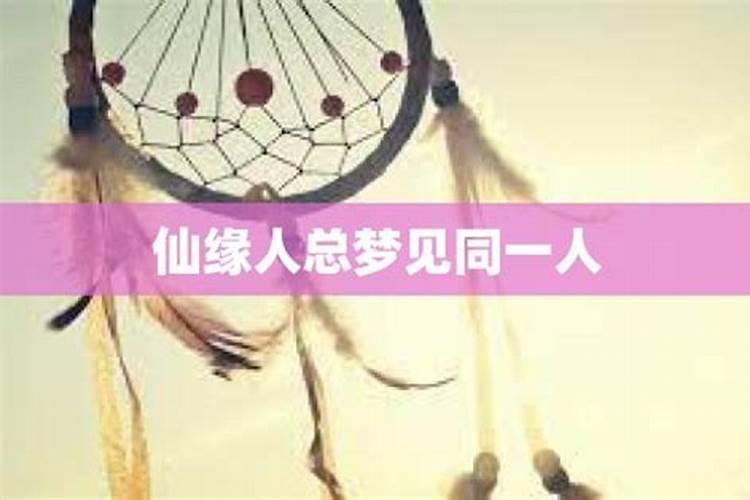 带仙缘人梦见厕所是什么意思