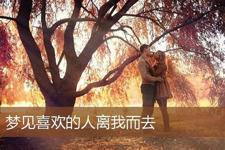 梦见前任离婚了是什么意思周公解梦