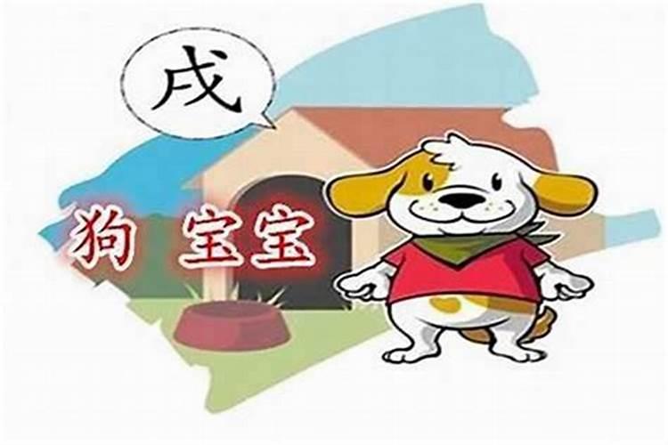 属狗月份出生的命运