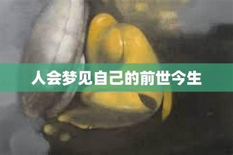 梦见前世今生女的着装公明二字