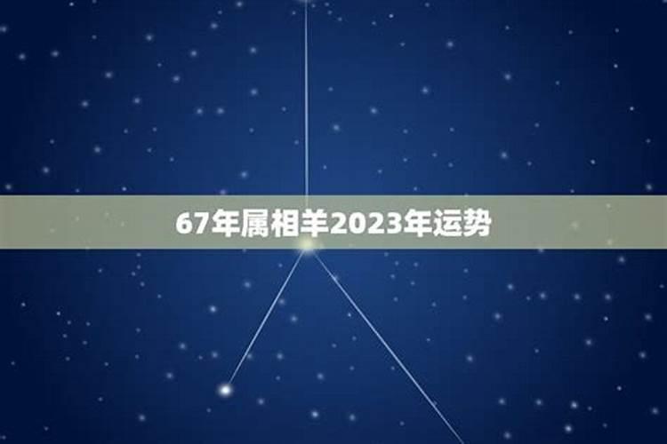 十二生肖2023年运势老黄历