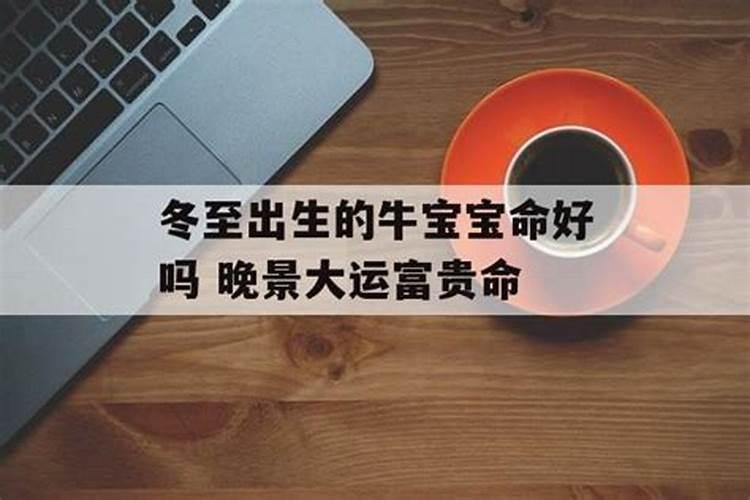 属虎的和属牛的八字合不合适