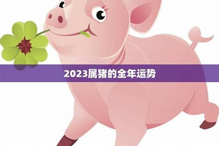 1959属猪人2023年运势