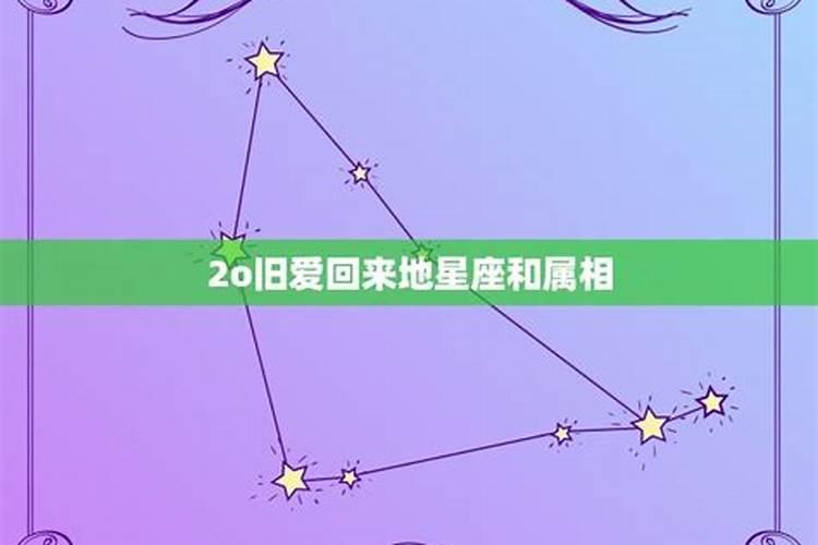 星座和属相都不和,怎么谈相处