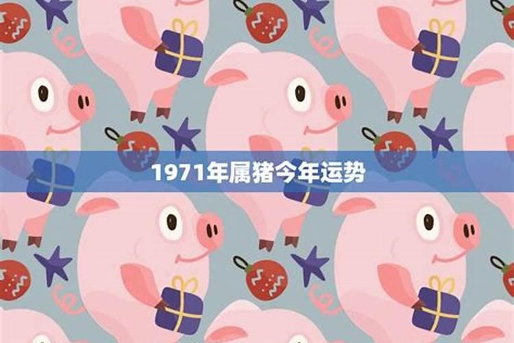 1971年属猪男士今年的运势