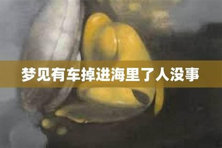 梦见掉入大海一点儿事也没有了