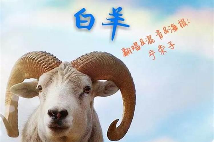 属虎的今年多大2020年虚岁