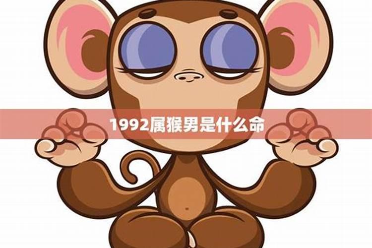 1992属猴一生命运