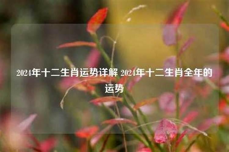 如何算自己八字有多少两